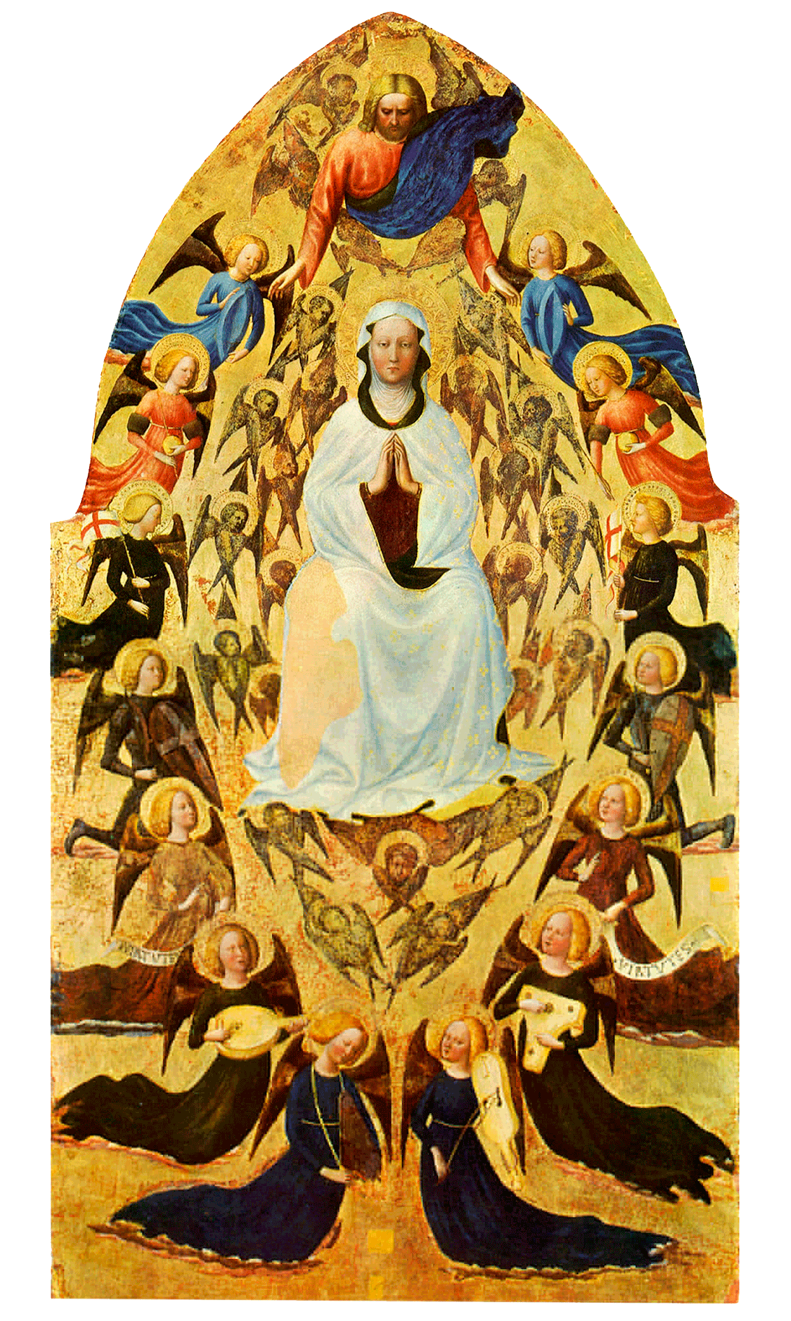 misericordia